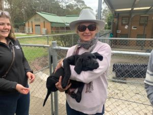 Read more about the article Guide Dogs <br><span style="font-size: 16px">August 2022</span>